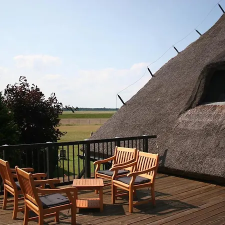 Strandanker *